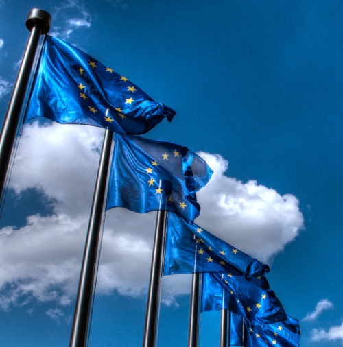 Thijs ter Har EU Flags fundamental rights