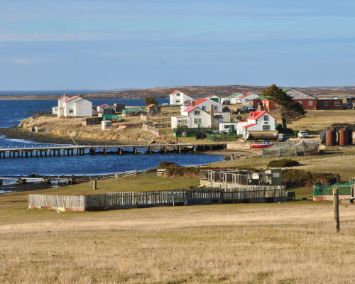 Falklands Calling Andrea Bellot